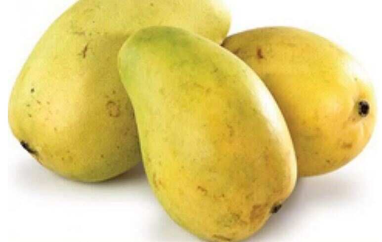 In a first, mangoes, black rice, bottle gourd from Varanasi make it to global markets despite COVID-19