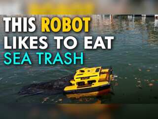 Meet Jellyfishbot, the robot that eats trash on the sea