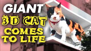 Watch: Giant 3D cat in Tokyo draws heavy crowds