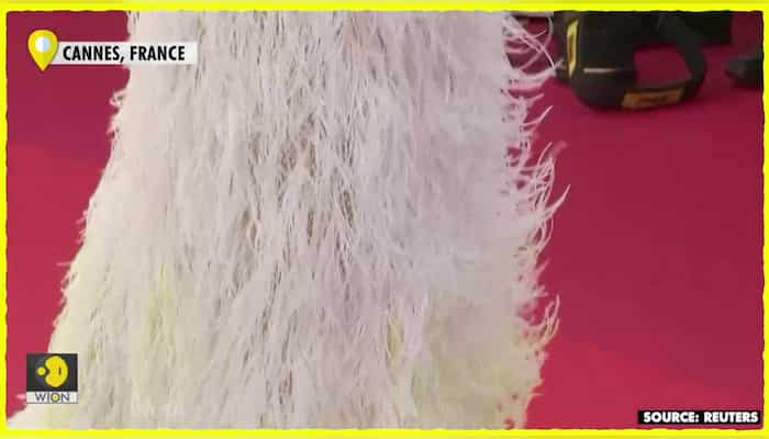 Film stars and fashionistas hit Cannes red carpets