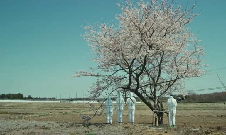 'I Am So Sorry' by Zhao Liang, China