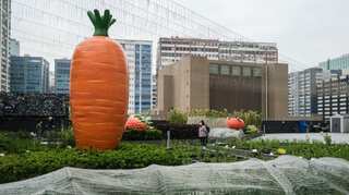 Short on space, Hong Kong sprouts sky gardens