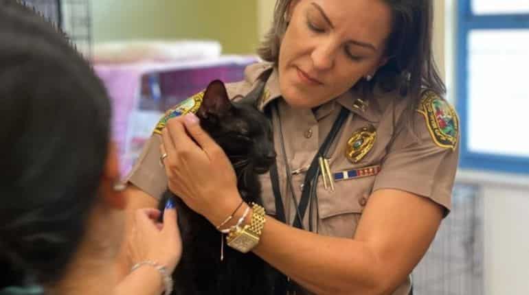 Florida building collapse finds its first survivor, a cat