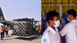 Indonesia battles virus surge; Japan to send special flights to evacuate citizens