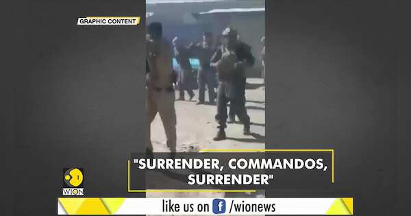 www.wionews.com