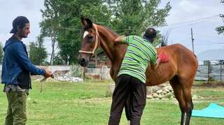 First horse riding school opens in Kashmir Valley
