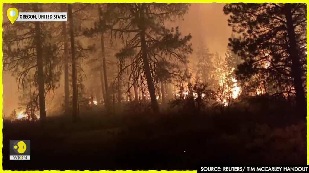 'It was like God's hand protected it': Oregon couple's home survives wildfire