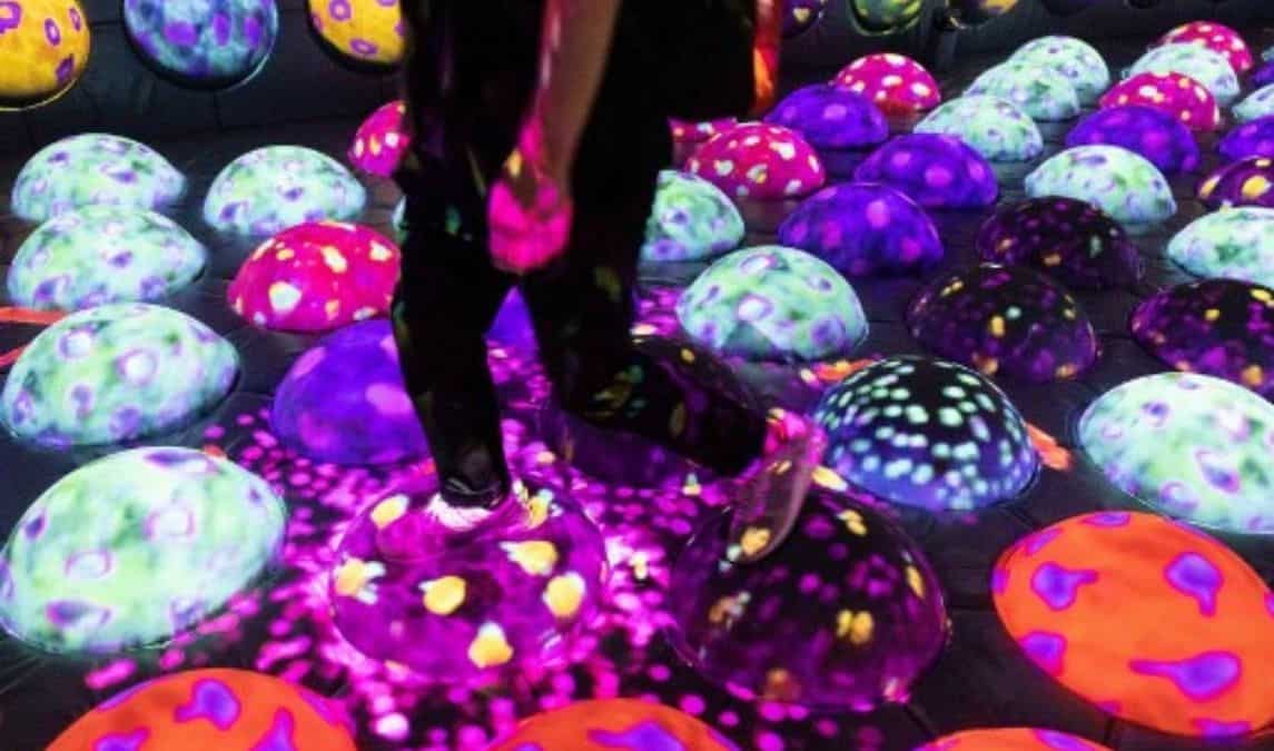 A forest where God lives