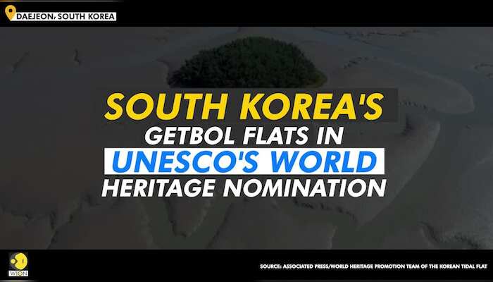 South Korea's tidal flats considered for UNESCO World Heritage status