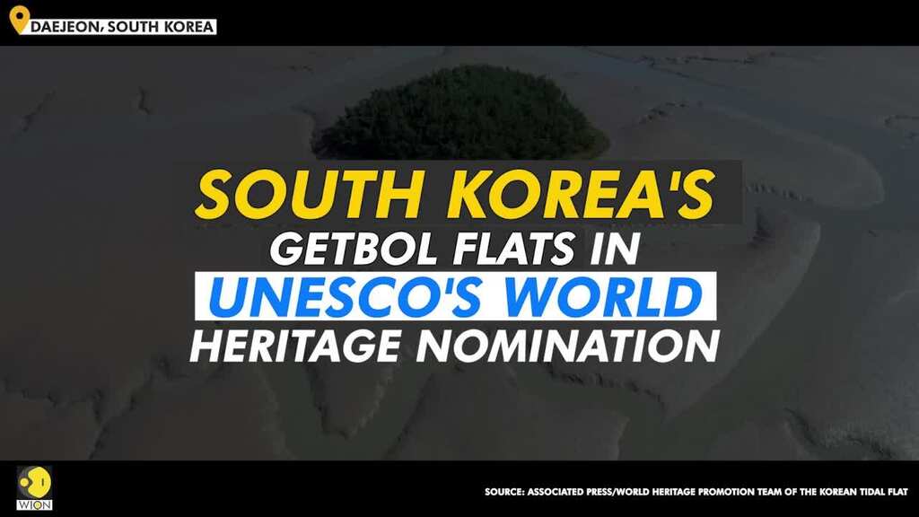 South Korea's tidal flats considered for UNESCO World Heritage status