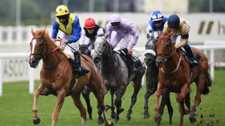 'Thousands' of former racehorses are slaughtered in British abattoirs every year: Report