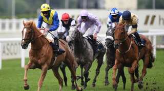 'Thousands' of former racehorses are slaughtered in British abattoirs every year: Report