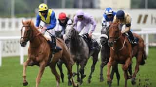 'Thousands' of former racehorses are slaughtered in British abattoirs every year: Report