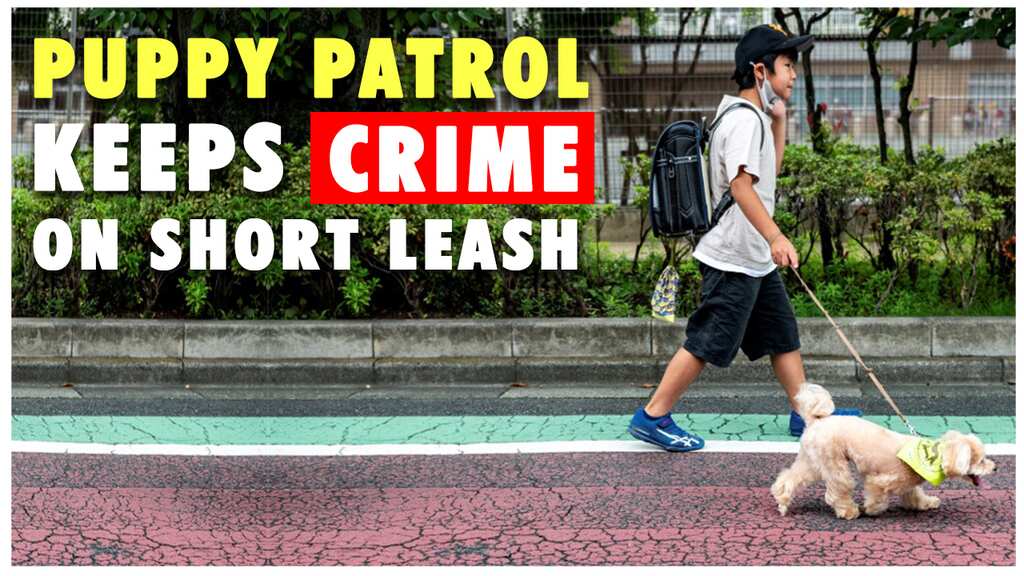 Tokyo's real life Paw Patrol keeps crime on short leash