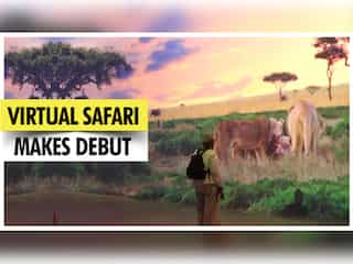 Illuminarium's virtual safari debuts in Atlanta