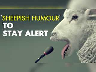 Swiss town uses sheepish humour to get people to stay alert to warning sirens
