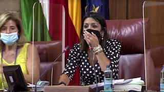 Watch: Real life Jerry mouse interrupts Spanish parliament session