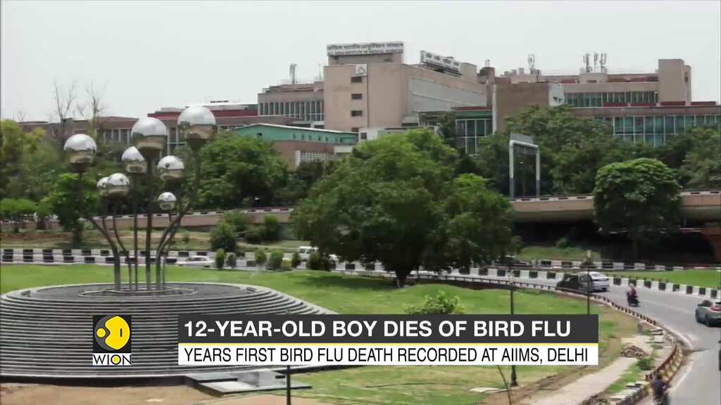India reports this year's first human death from bird flu