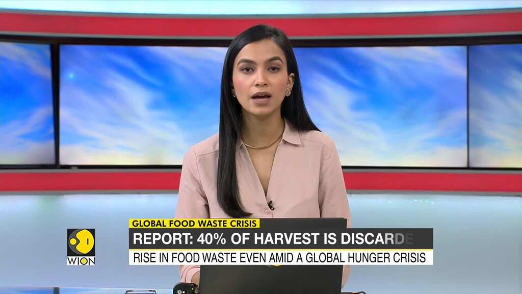 How much food is wasted globally