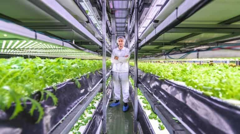 ... to vertical farming in Copenhagen