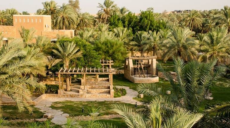 Riyadh's mass tree planting