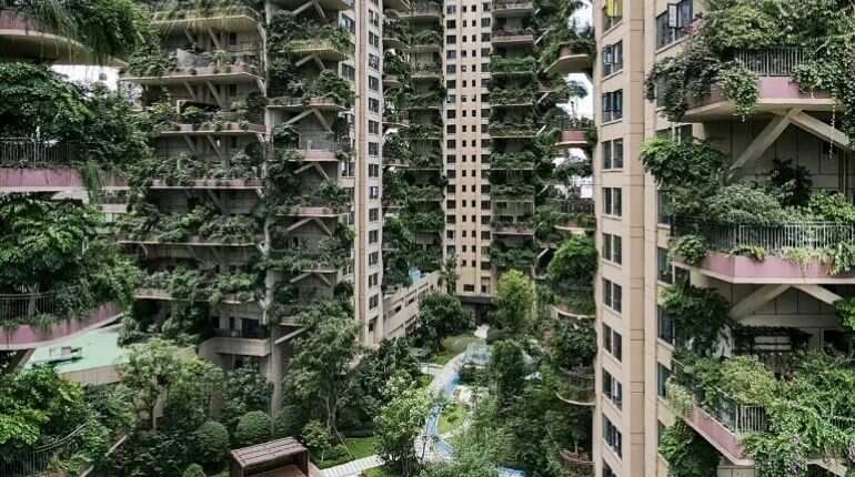 Chengdu's apartment blocks turned jungle
