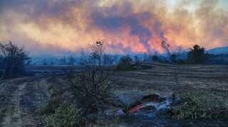 3 dead, 58 hospitalised as wildfire in south Turkey rages on