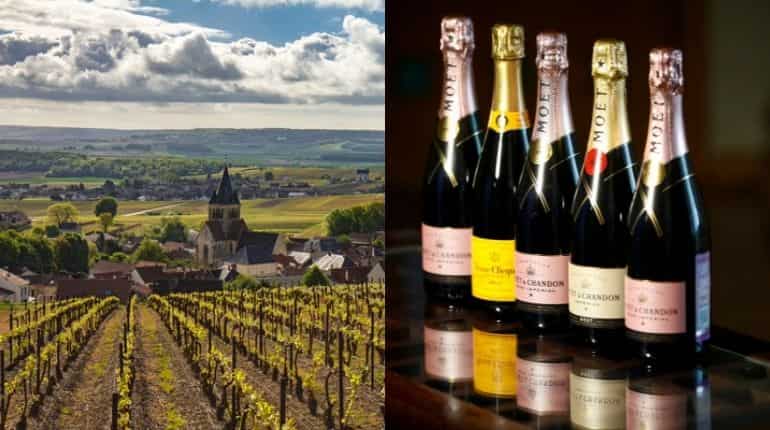 Champagne growers spark fierce resistance after altering a century old vine-distancing rule