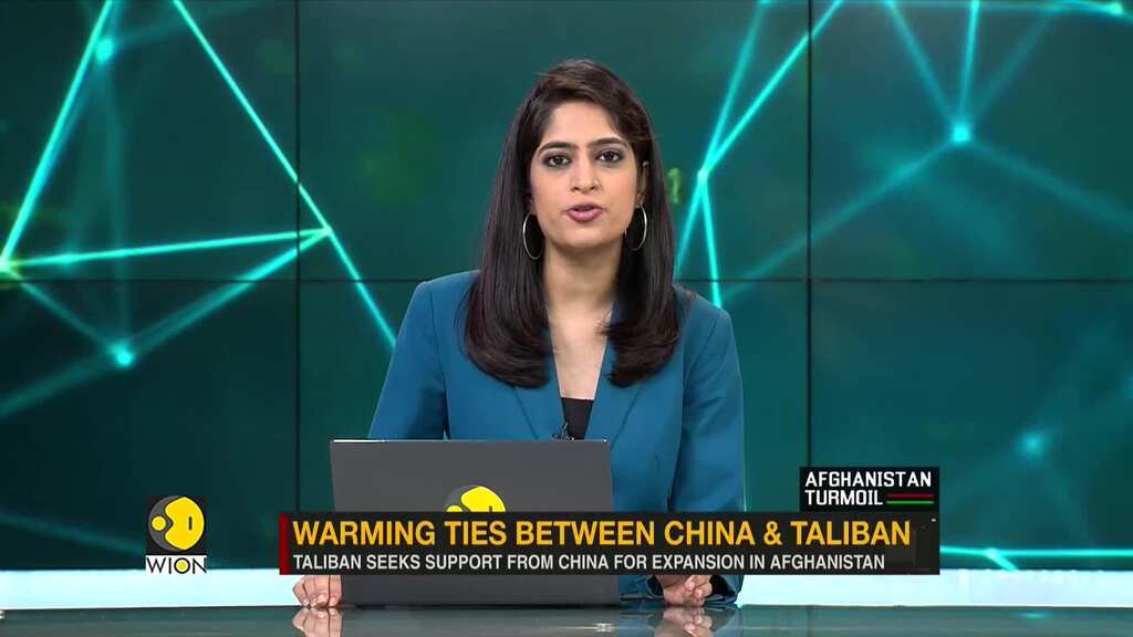 Beijing welcomes Taliban's political leaders and delegates