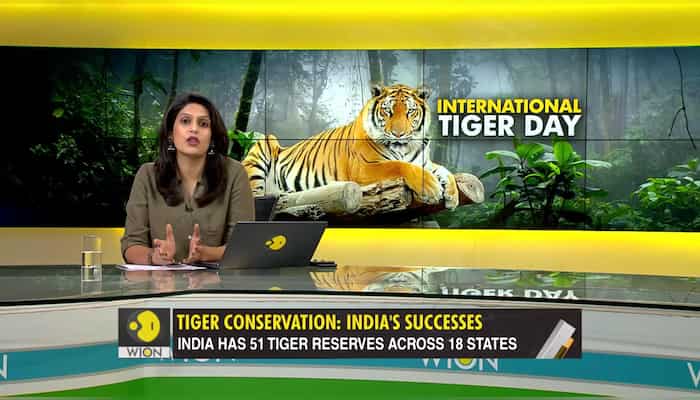 Gravitas: How India is saving the tigers