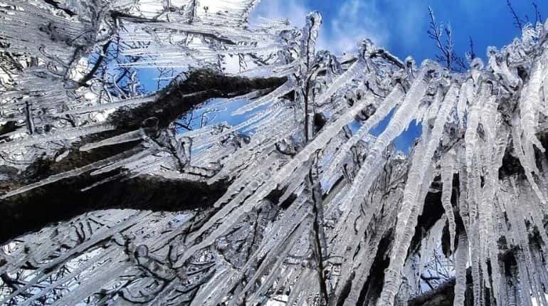 Rare snowfall lashes southern Brazil threatening crops Rare snowfall lashes southern Brazil threatening crops