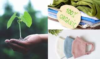 This ‘Friendship Day,’ treat your friends to some green wisdom