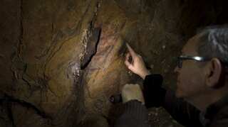 Scientists discover Neanderthals were painting caves in Europe long before modern humans