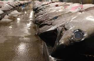 US blocks seafood from a Fiji ship accused of enslaving its crew