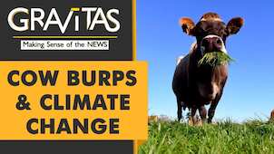 Gravitas: Methane: A bigger threat than CO2?