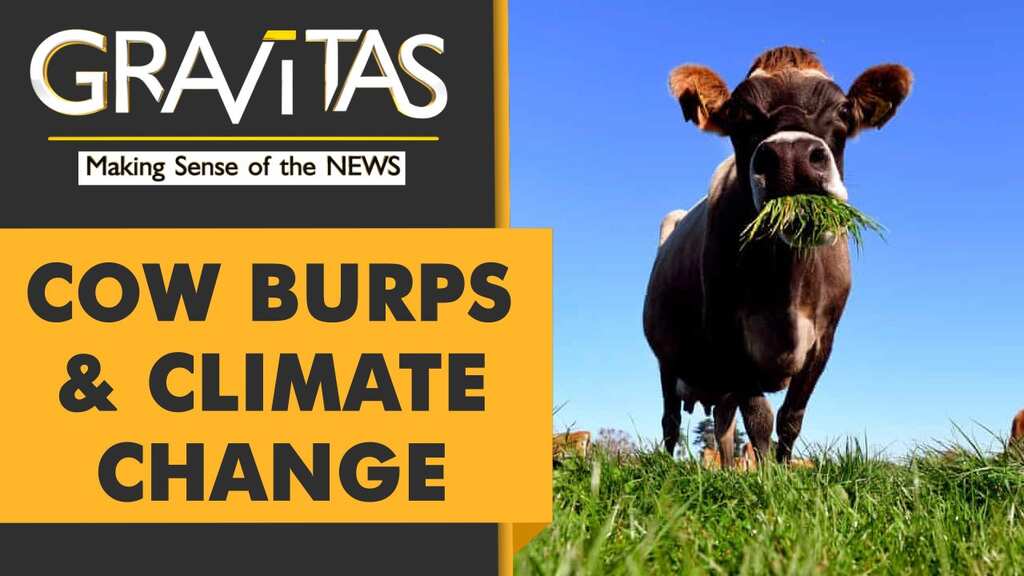 Gravitas: Methane: A bigger threat than CO2?