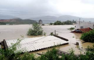 Tropical storm Mirinae heads to Tokyo on last day of Olympics