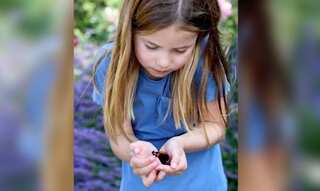 Princess Charlotte new picture with butterfly is adorable