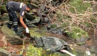 Thai man arrested for suspected murder of Swiss woman in Phuket