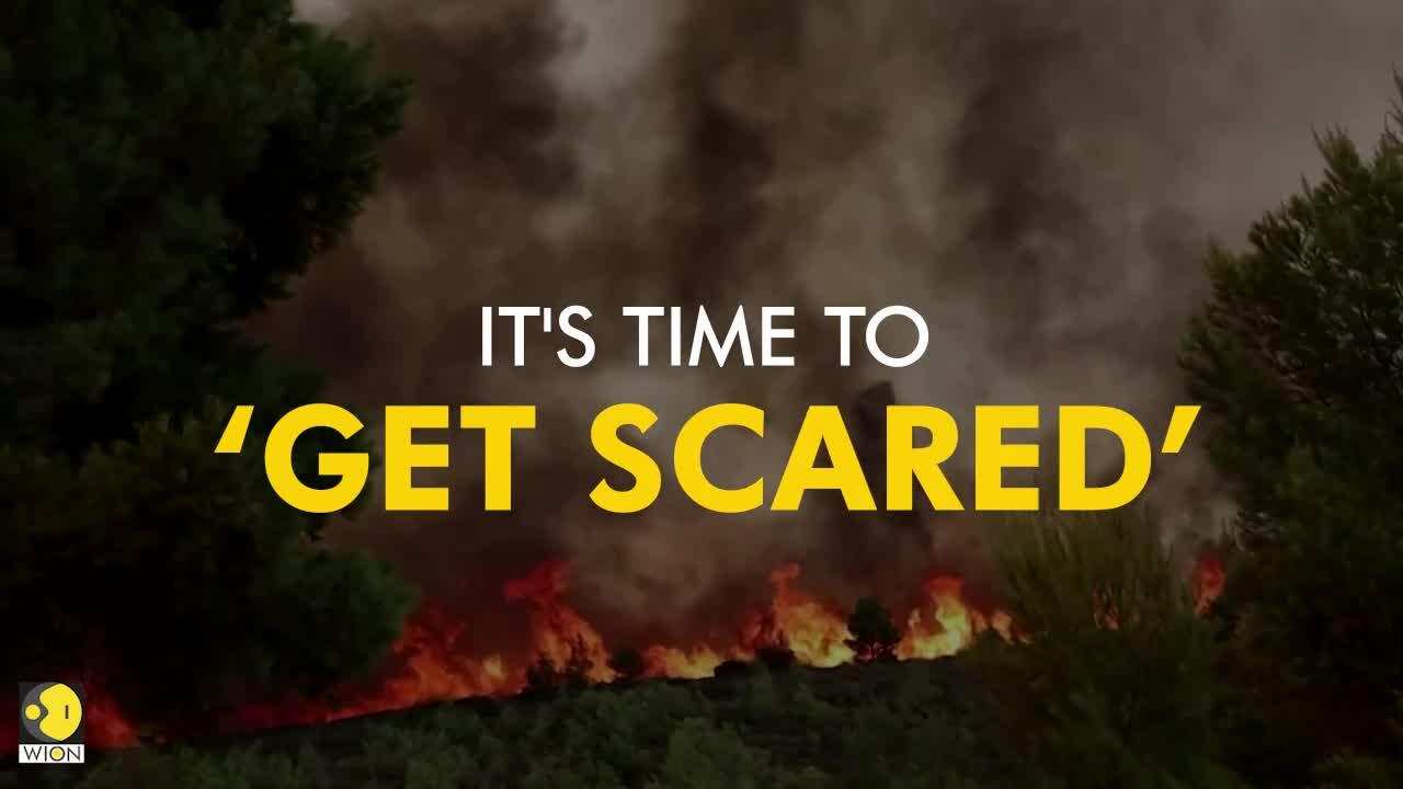 Breaking Landmark Un Court Decision Could Reshape The Fight Against Climate Change - y893tvv