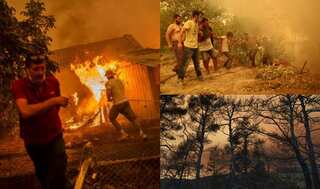Over 100,000 hectares burned as Greece faces ‘ecological disaster’ from wildfires