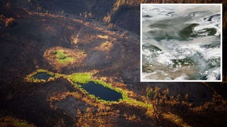 Russian wildfire smoke 'reaches North Pole', shows satellite imagery Russian wildfire smoke 'reaches North Pole', shows satellite imagery