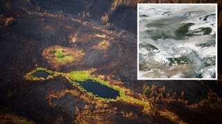 Russian wildfire smoke 'reaches North Pole', shows satellite imagery
