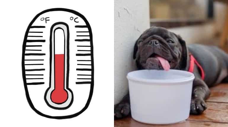 What is the Heat Index, and why does it matter? What is the Heat Index, and why does it matter?