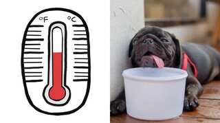 What is the Heat Index, and why does it matter?