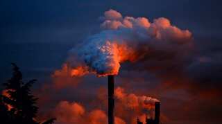 First time since Covid lockdowns, China's carbon emissions fall: Report