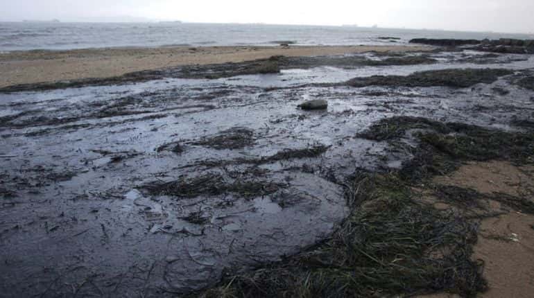 Russian scientists sound alarm over 'colossal' Black Sea oil slick Russian scientists sound alarm over 'colossal' Black Sea oil slick