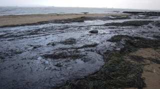 Russian scientists sound alarm over 'colossal' Black Sea oil slick