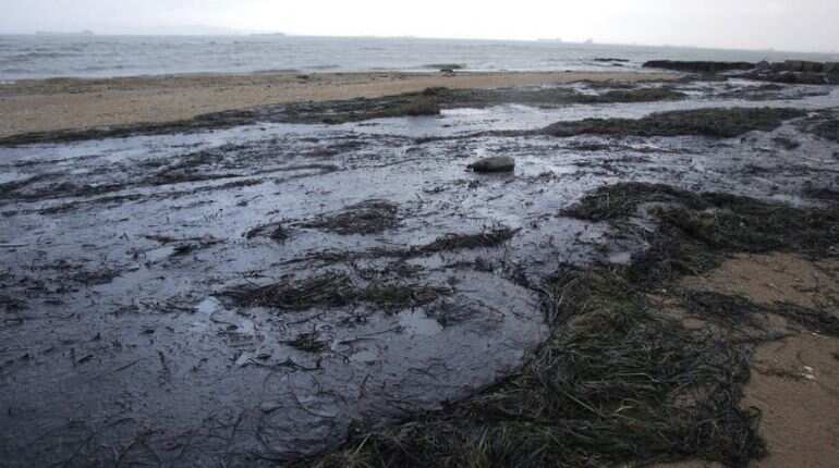 Russian scientists sound alarm over 'colossal' Black Sea oil slick