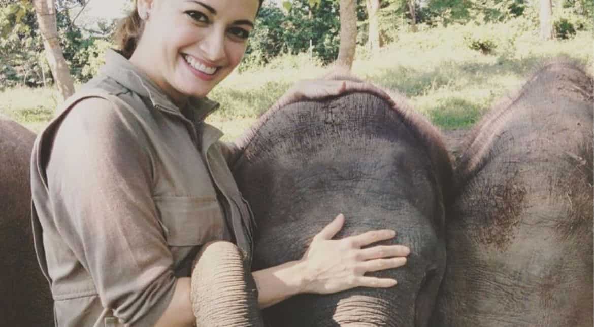 World Elephant Day: Dia Mirza recalls first meet with the gentle giants World Elephant Day: Dia Mirza recalls first meet with the gentle giants